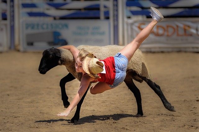 也使其经常 也使其经常
